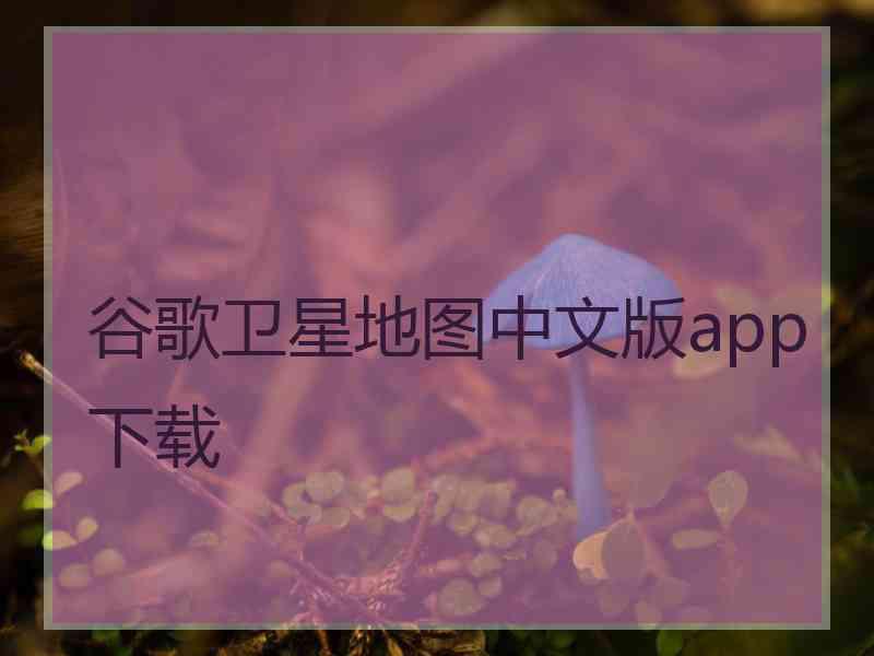 谷歌卫星地图中文版app下载