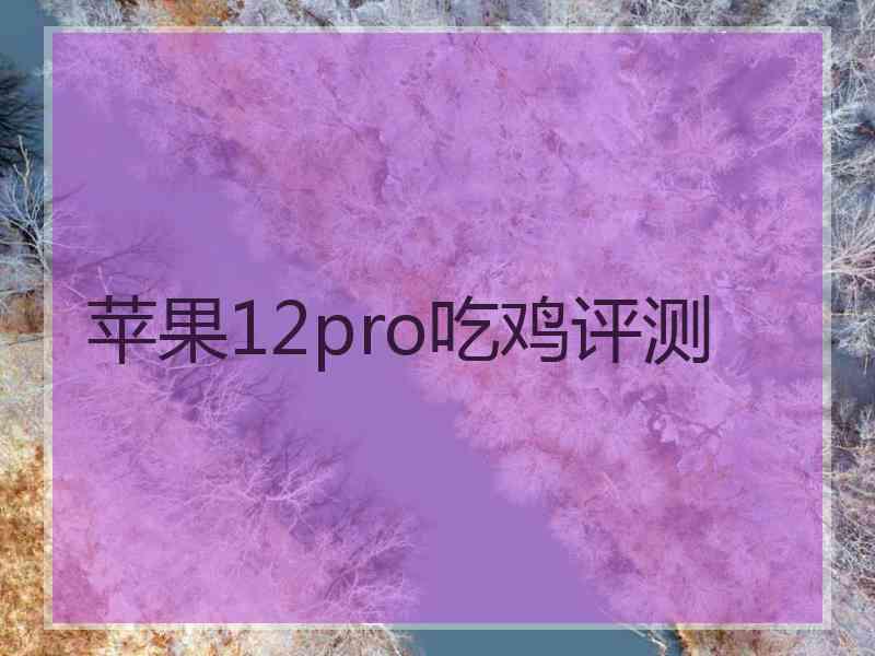 苹果12pro吃鸡评测