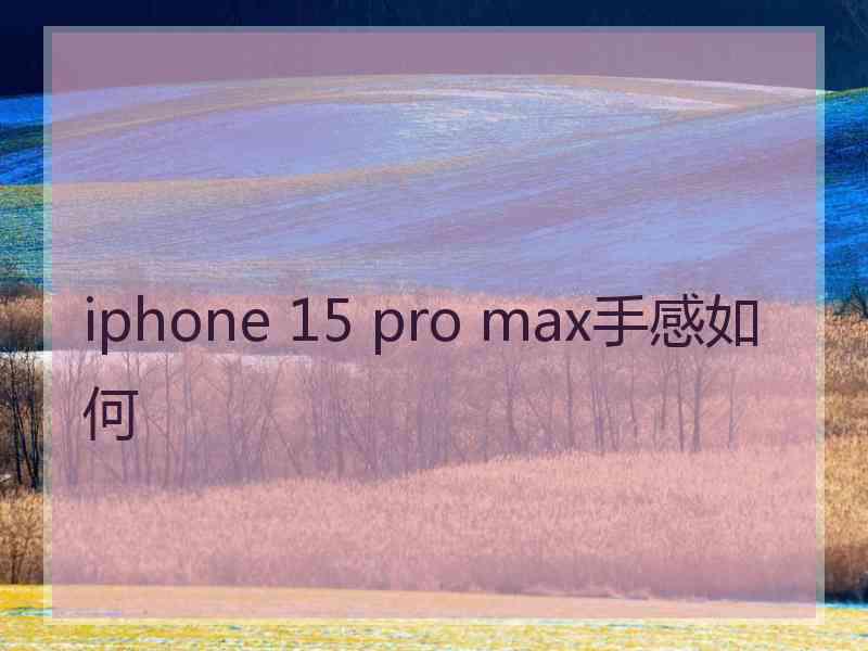 iphone 15 pro max手感如何