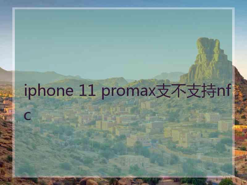 iphone 11 promax支不支持nfc