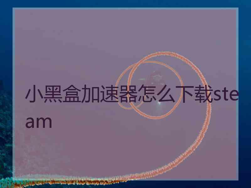 小黑盒加速器怎么下载steam