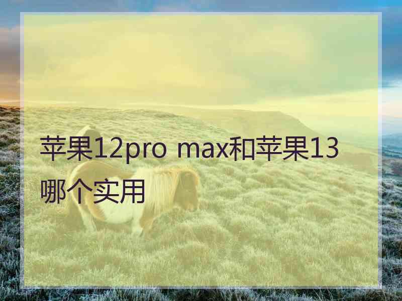 苹果12pro max和苹果13哪个实用