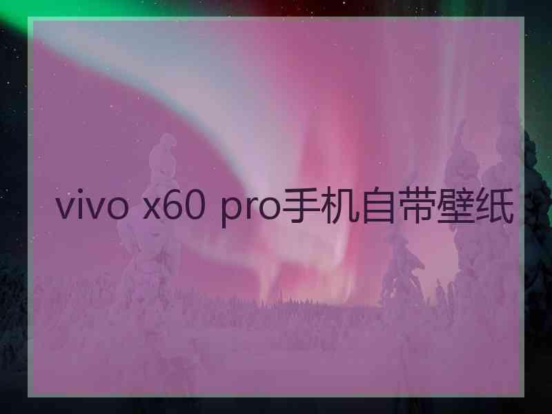 vivo x60 pro手机自带壁纸