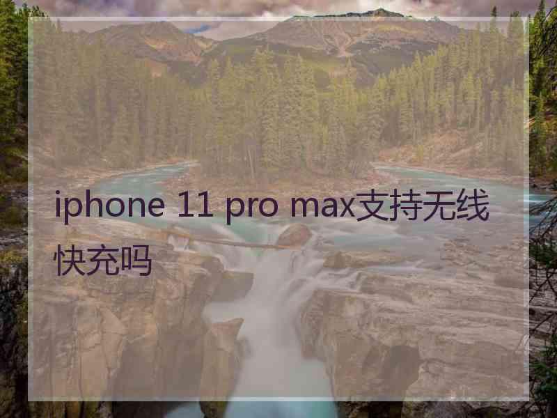 iphone 11 pro max支持无线快充吗