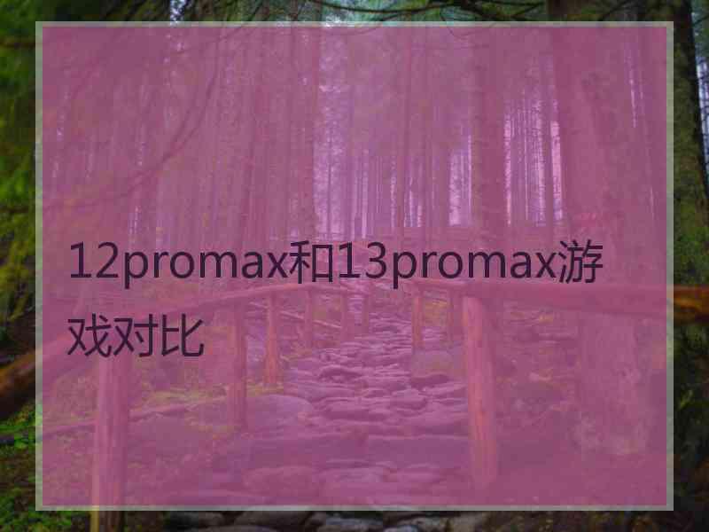 12promax和13promax游戏对比