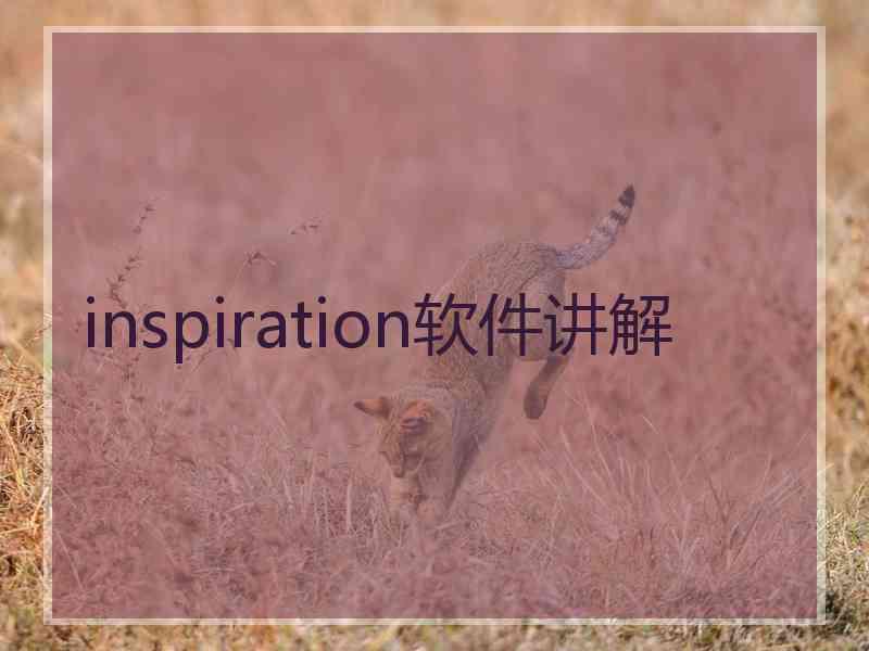 inspiration软件讲解