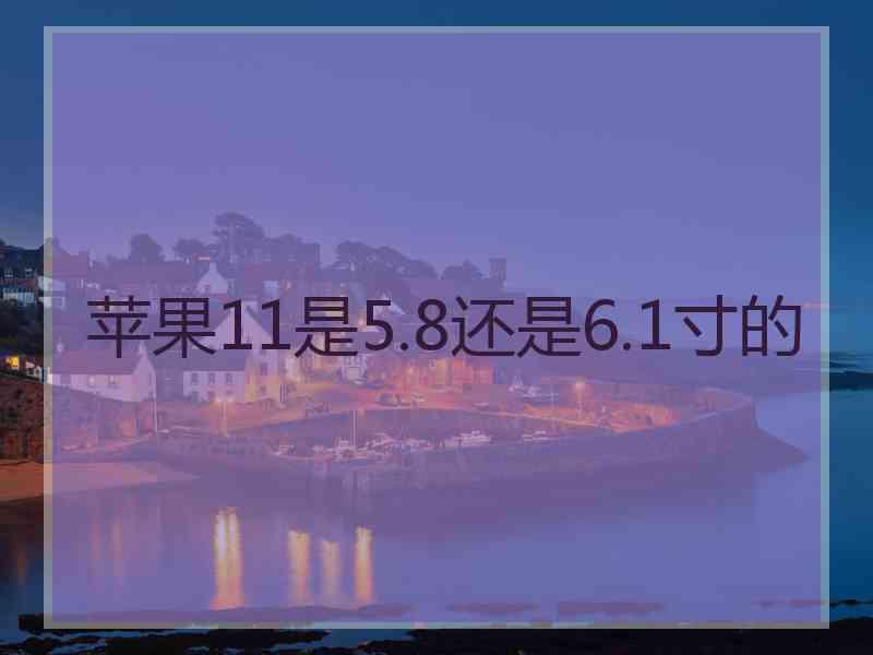 苹果11是5.8还是6.1寸的