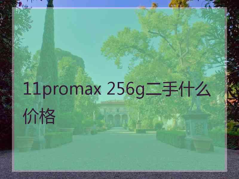 11promax 256g二手什么价格