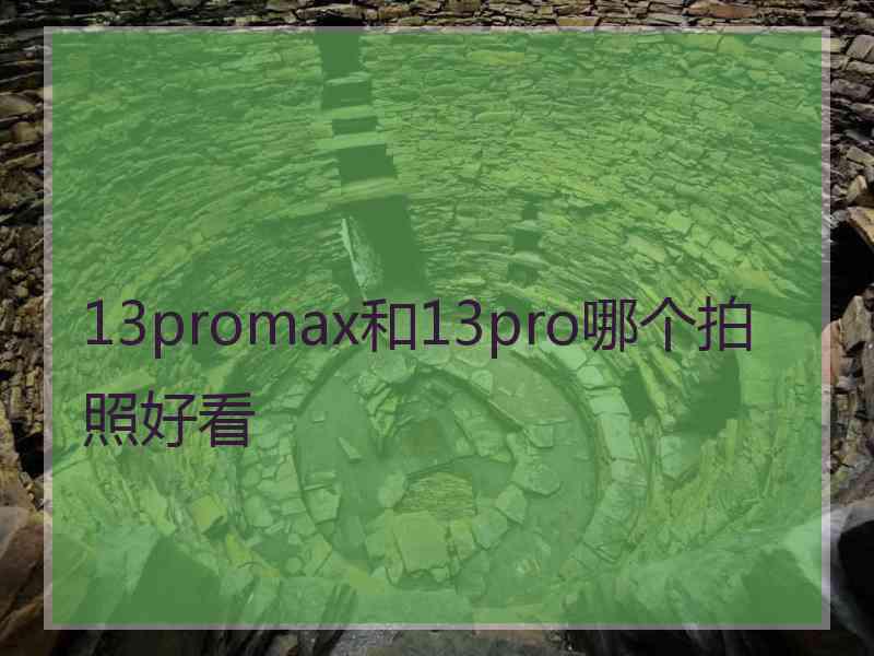 13promax和13pro哪个拍照好看