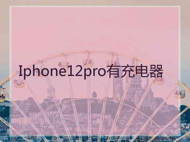 Iphone12pro有充电器