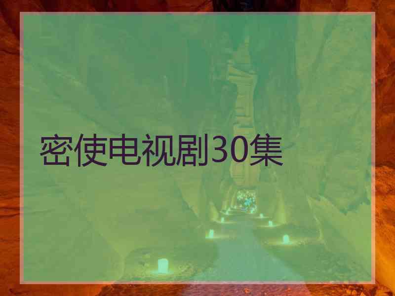 密使电视剧30集