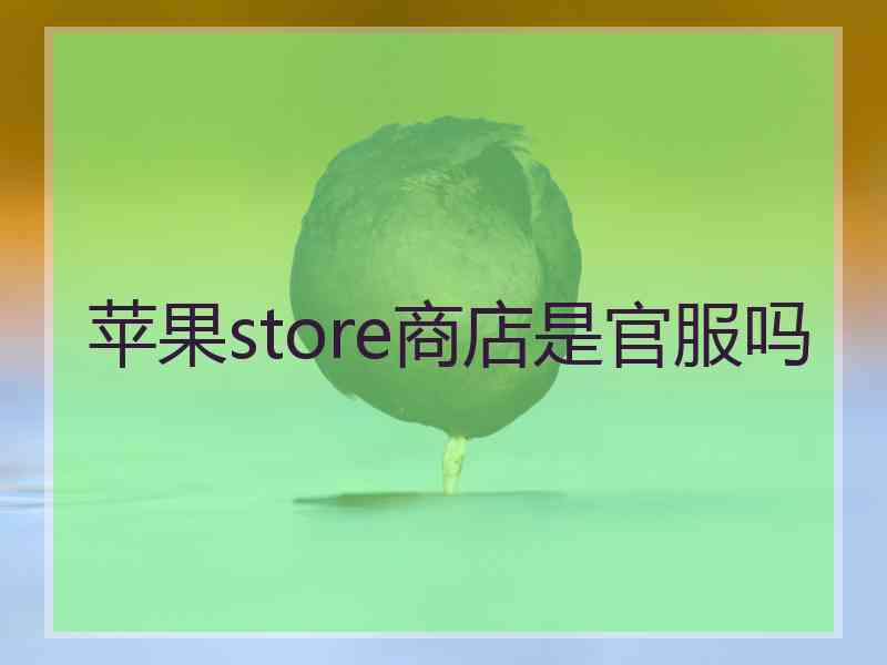 苹果store商店是官服吗