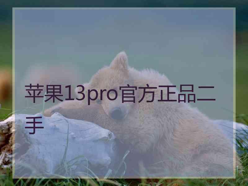 苹果13pro官方正品二手