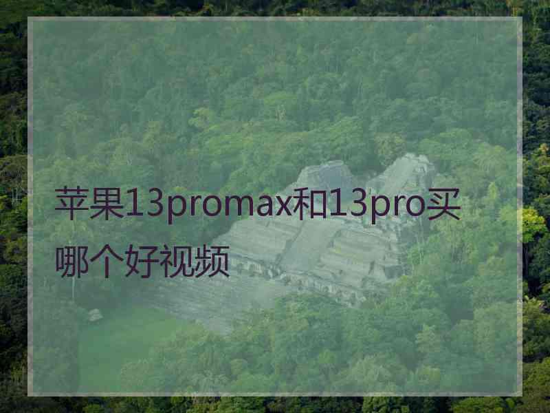 苹果13promax和13pro买哪个好视频