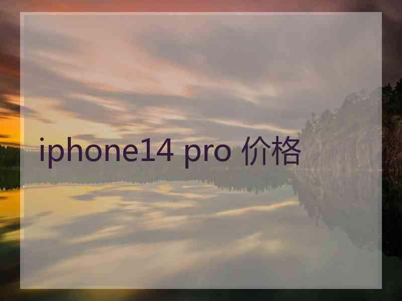 iphone14 pro 价格