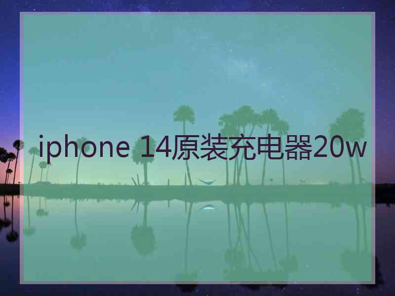 iphone 14原装充电器20w