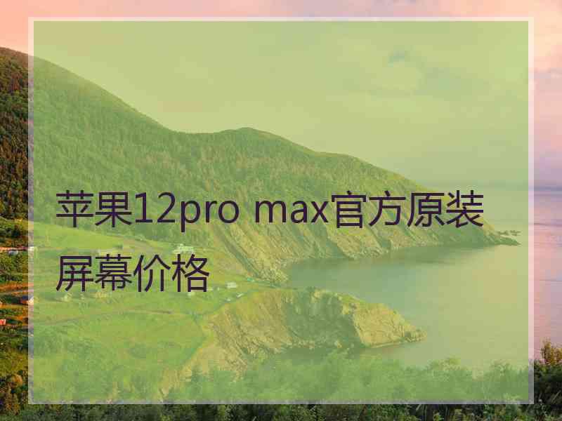 苹果12pro max官方原装屏幕价格