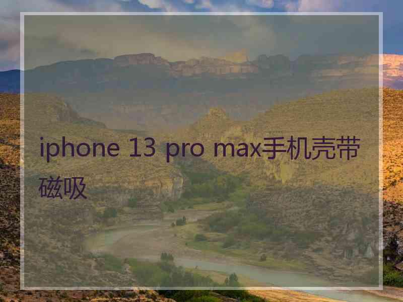 iphone 13 pro max手机壳带磁吸