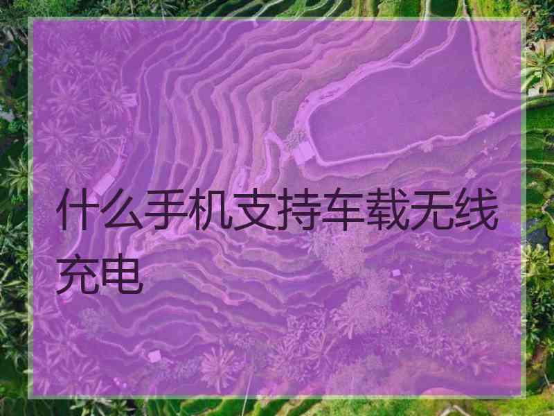 什么手机支持车载无线充电