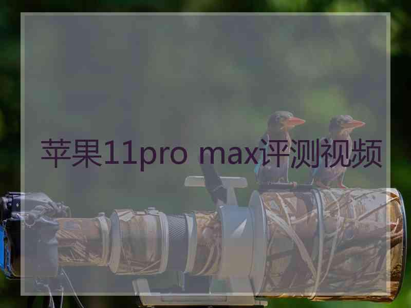 苹果11pro max评测视频