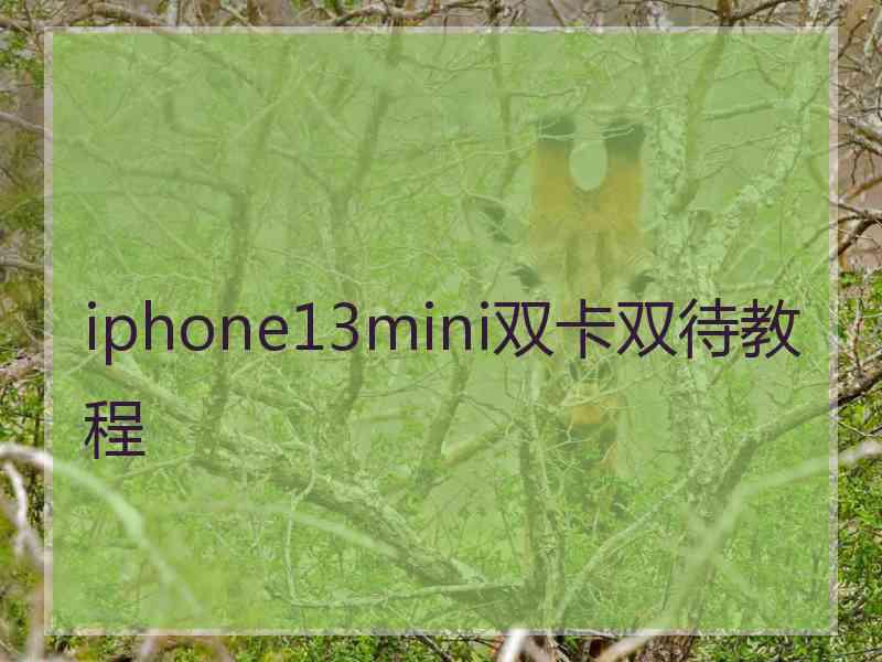 iphone13mini双卡双待教程