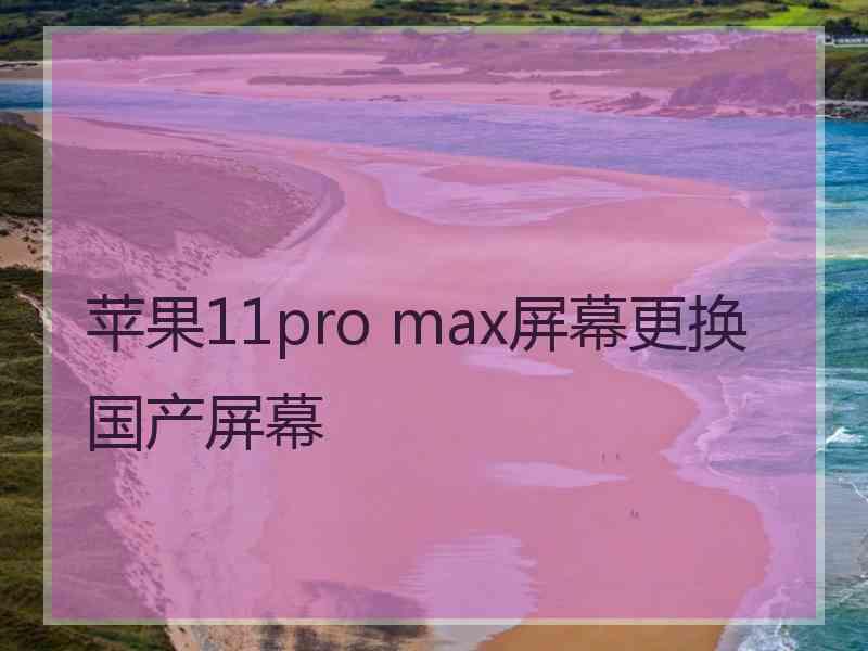 苹果11pro max屏幕更换国产屏幕