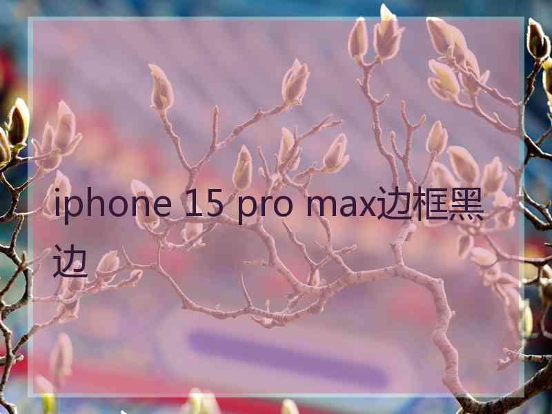 iphone 15 pro max边框黑边