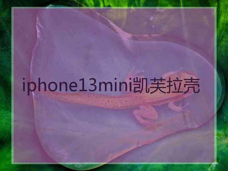 iphone13mini凯芙拉壳