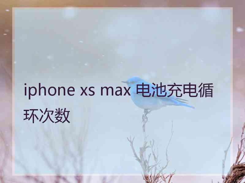 iphone xs max 电池充电循环次数