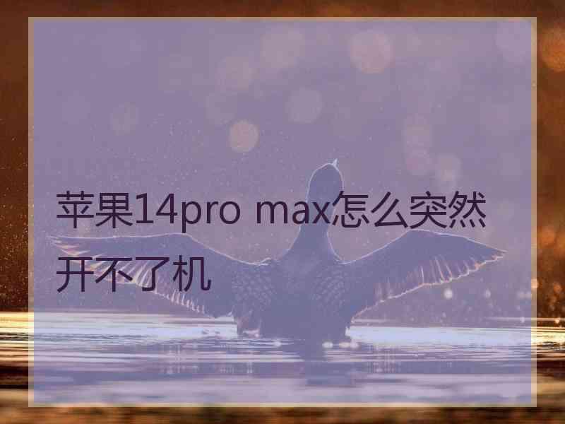 苹果14pro max怎么突然开不了机