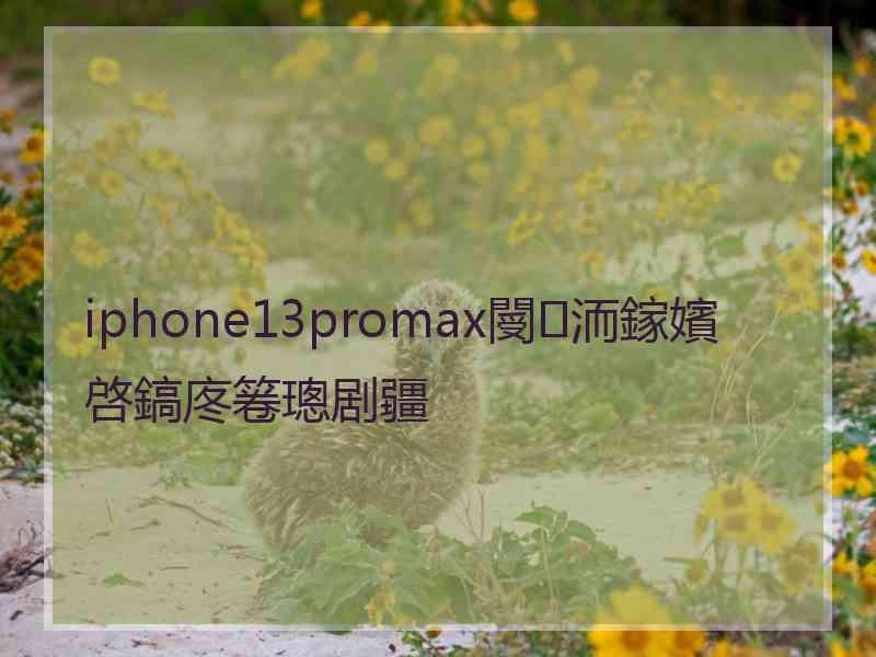 iphone13promax閿洏鎵嬪啓鎬庝箞璁剧疆