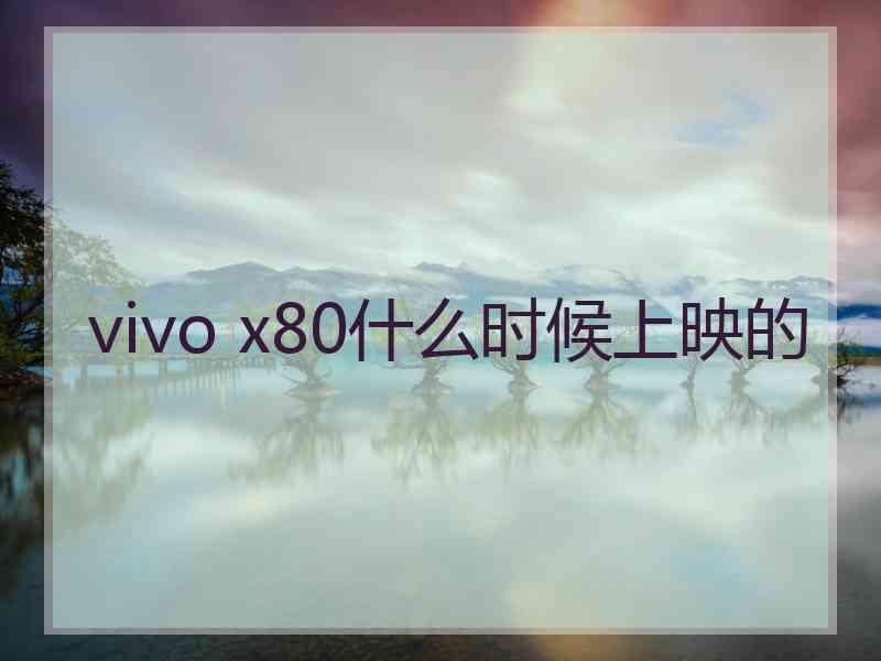 vivo x80什么时候上映的