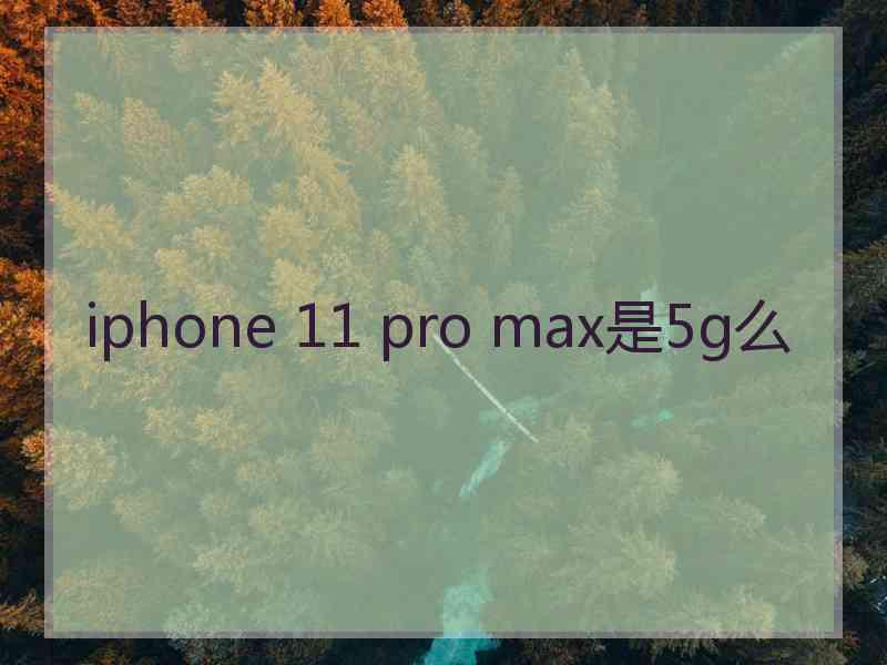 iphone 11 pro max是5g么