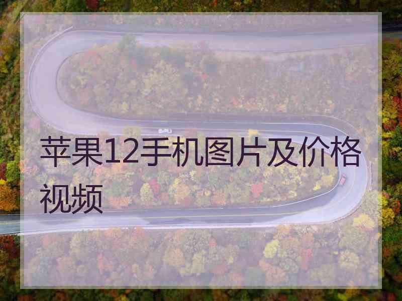 苹果12手机图片及价格视频