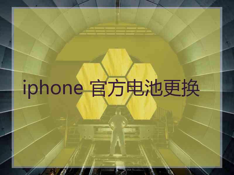 iphone 官方电池更换