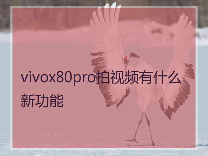 vivox80pro拍视频有什么新功能