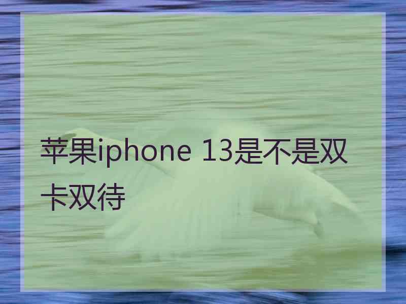 苹果iphone 13是不是双卡双待