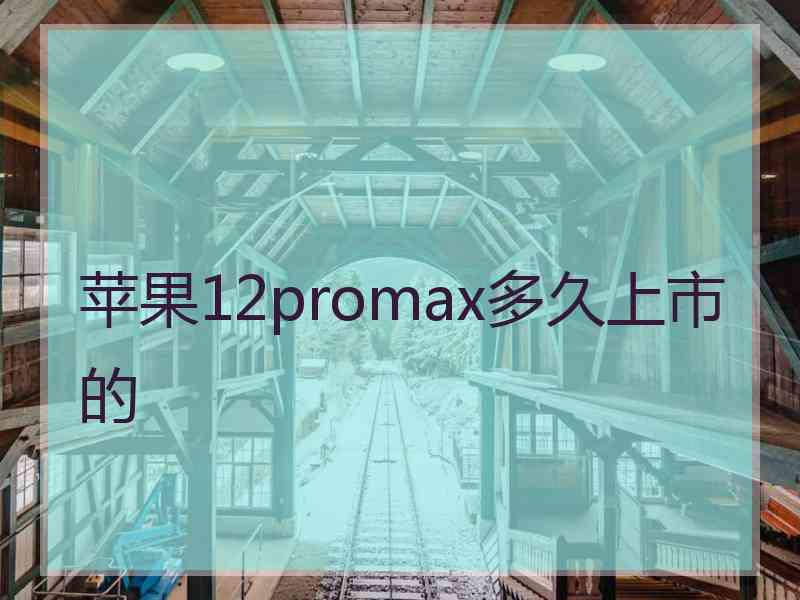 苹果12promax多久上市的