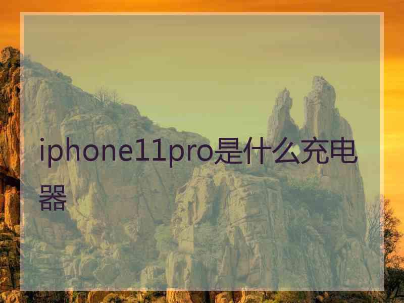 iphone11pro是什么充电器