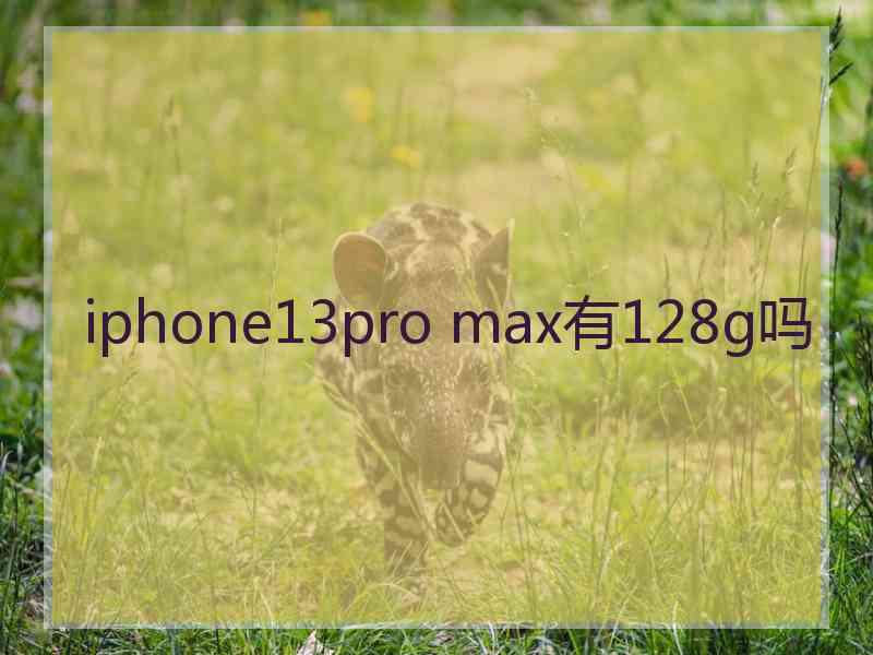 iphone13pro max有128g吗