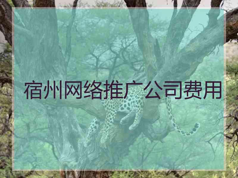 宿州网络推广公司费用