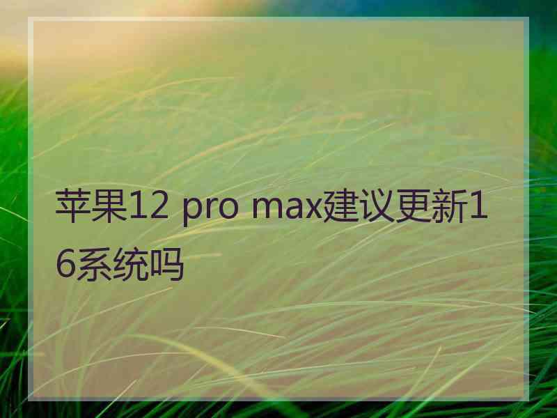 苹果12 pro max建议更新16系统吗