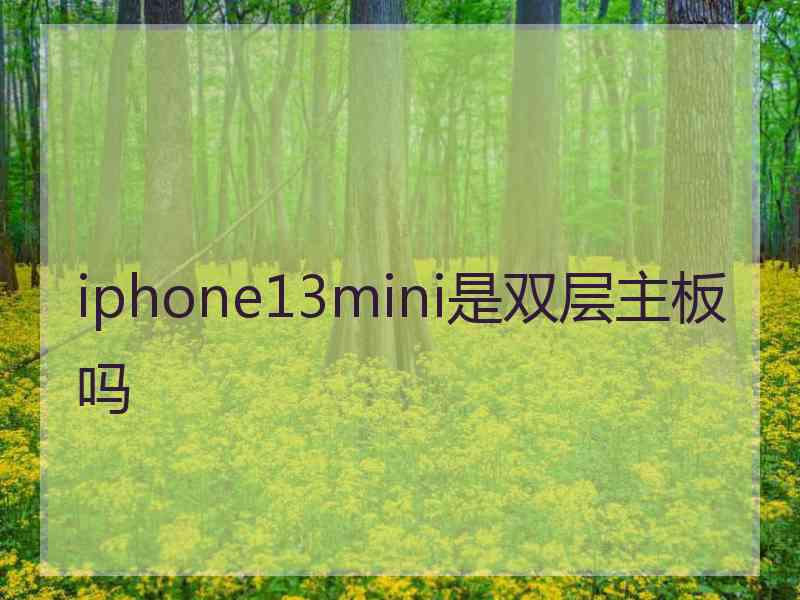 iphone13mini是双层主板吗