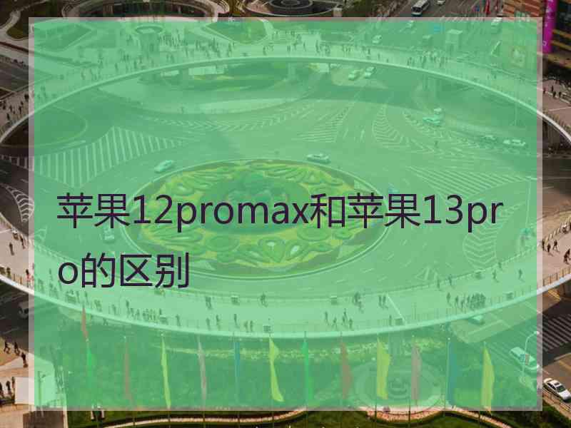 苹果12promax和苹果13pro的区别