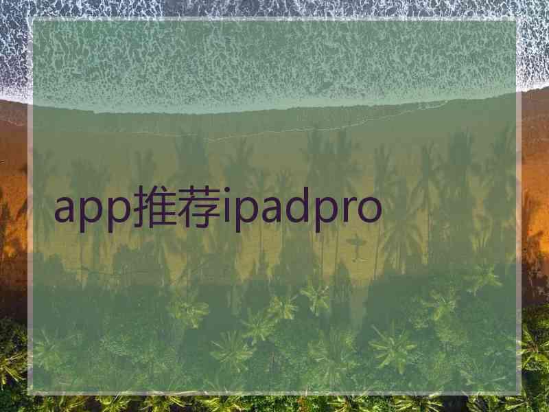 app推荐ipadpro