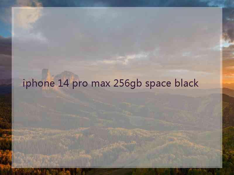 iphone 14 pro max 256gb space black