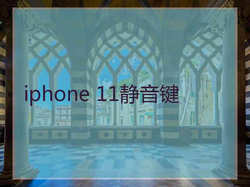 iphone 11静音键