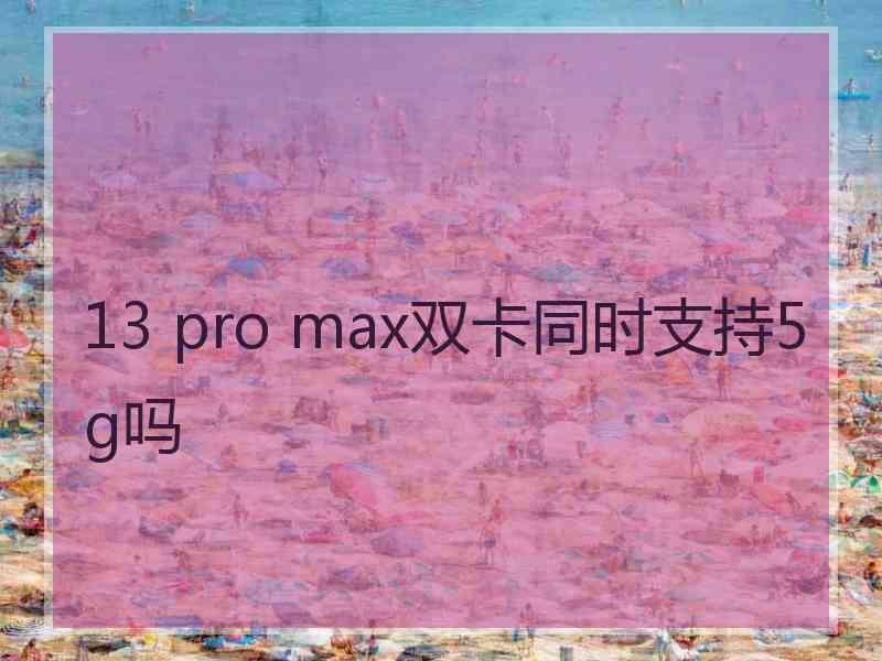 13 pro max双卡同时支持5g吗