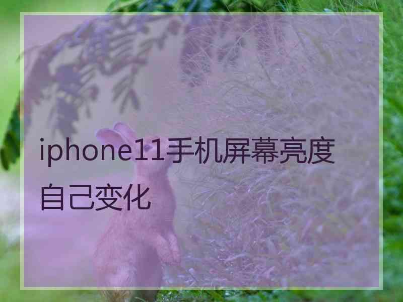 iphone11手机屏幕亮度自己变化