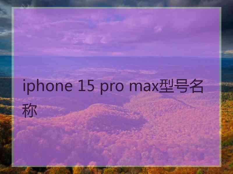 iphone 15 pro max型号名称